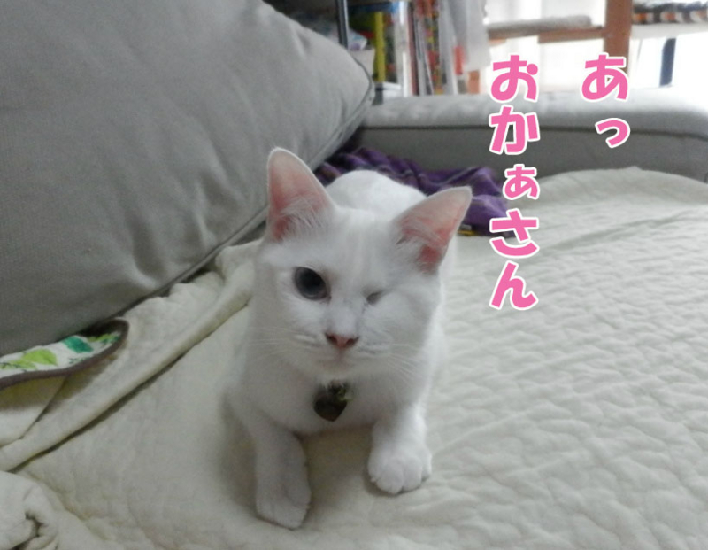 f:id:gosaku13:20151110082003j:image