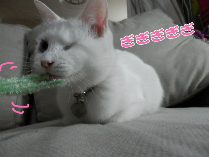 f:id:gosaku13:20151121155914j:image