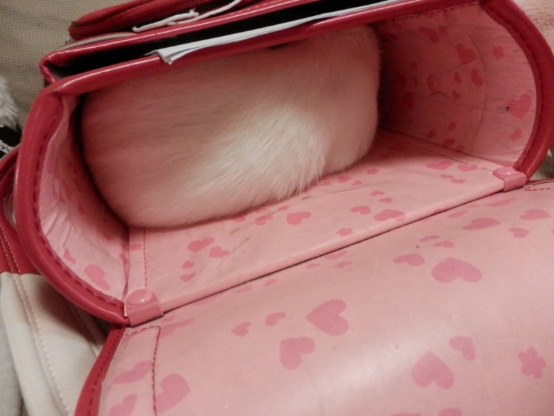 f:id:gosaku13:20151202145732j:image