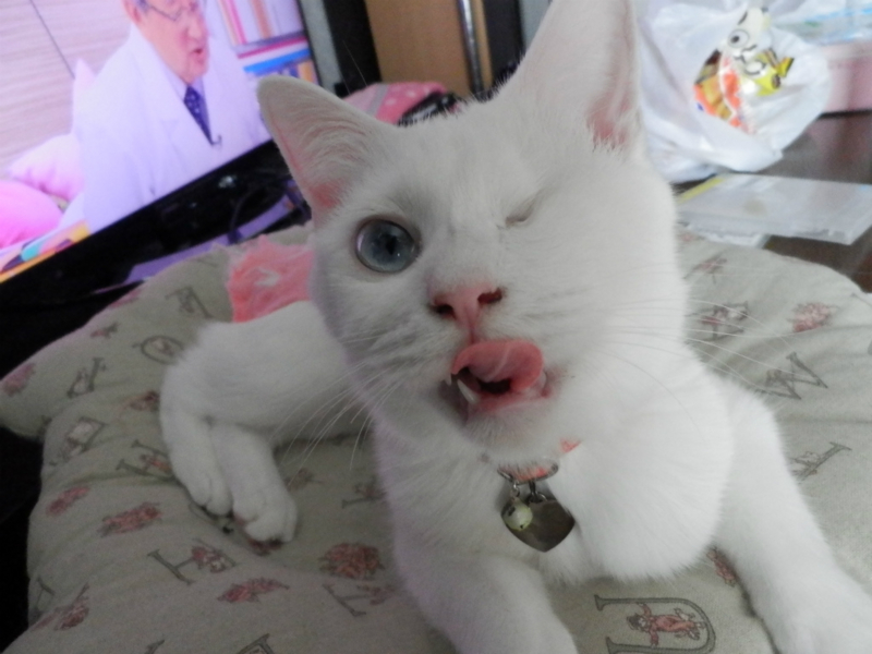 f:id:gosaku13:20151209092128j:image