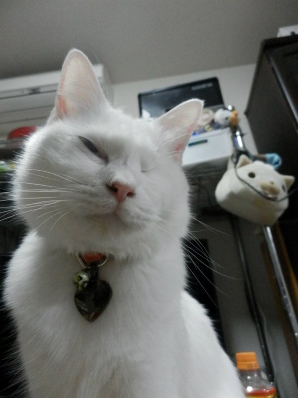 f:id:gosaku13:20151214213733j:image