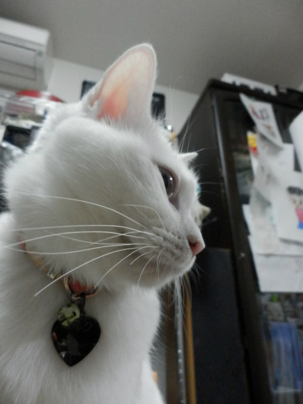 f:id:gosaku13:20151214213734j:image