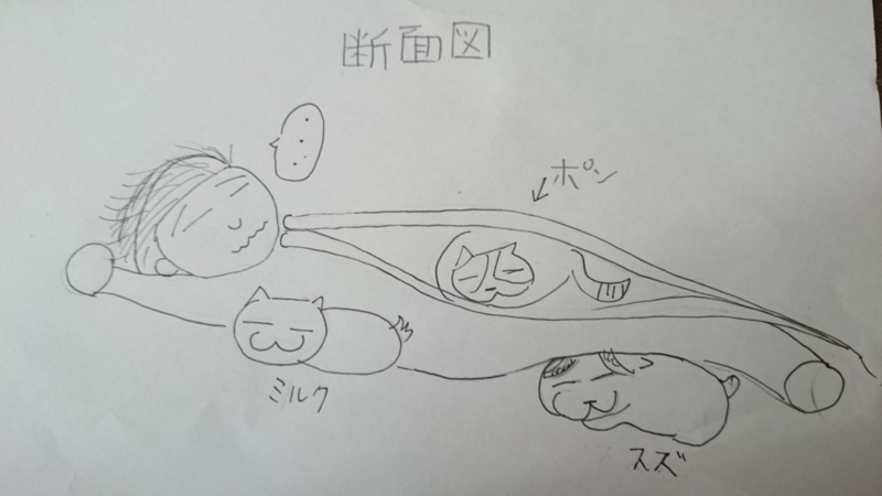 f:id:gosaku13:20151218090042j:image