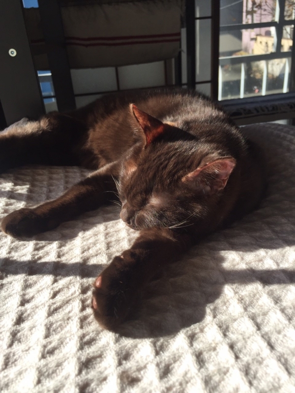 f:id:gosaku13:20151220132403j:image