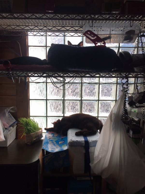 f:id:gosaku13:20151220132407j:image