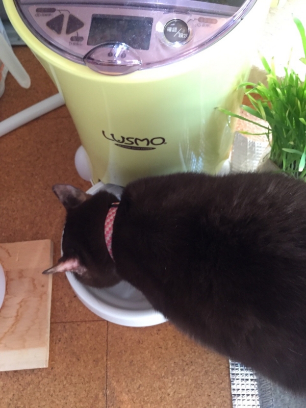 f:id:gosaku13:20151220132409j:image