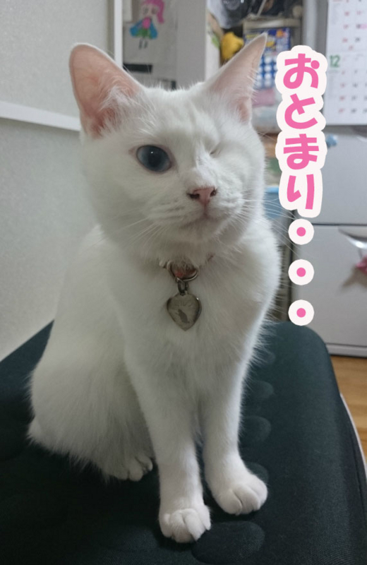 f:id:gosaku13:20151225090827j:image