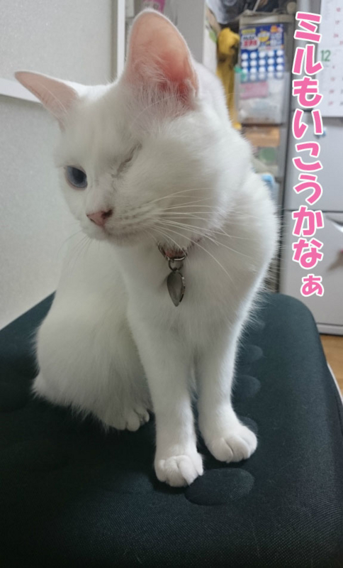 f:id:gosaku13:20151225090936j:image