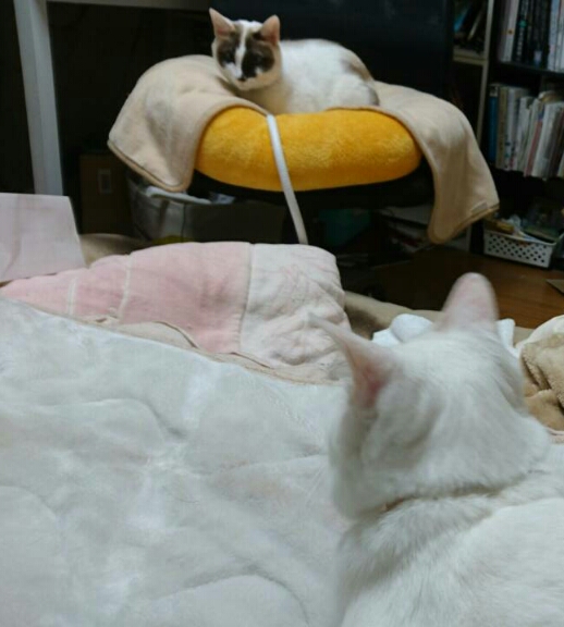 f:id:gosaku13:20151230071915j:image