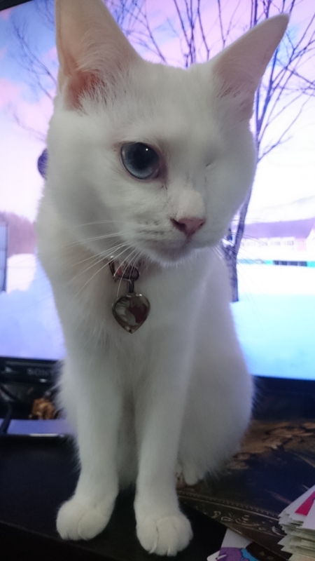 f:id:gosaku13:20160104160123j:image