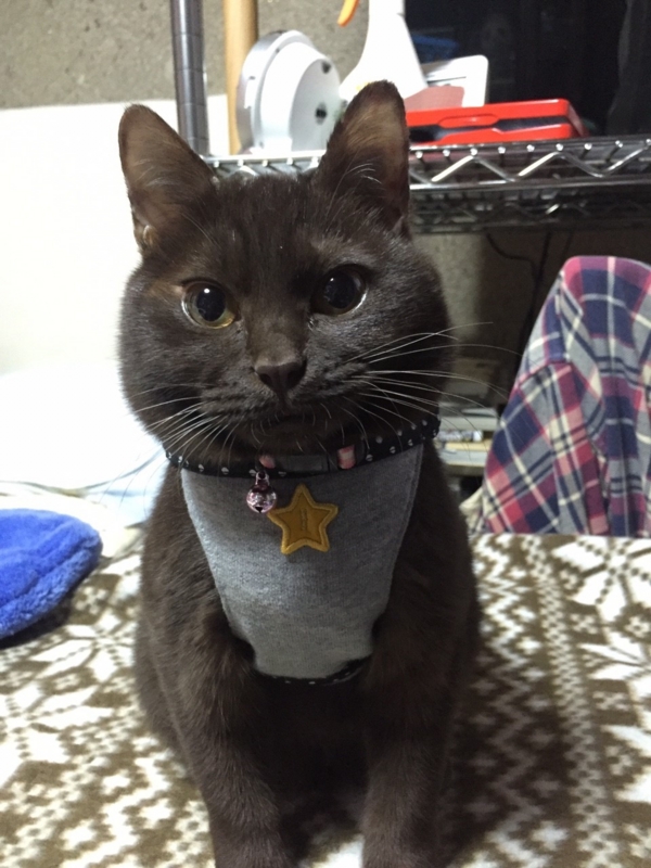 f:id:gosaku13:20160109121612j:image