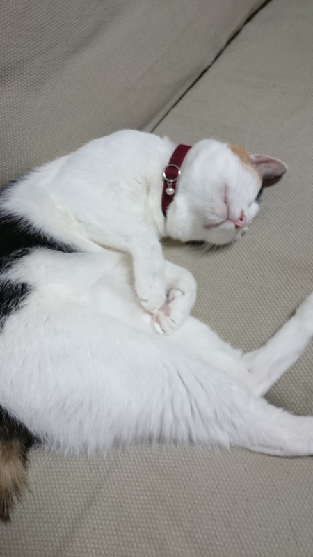 f:id:gosaku13:20160111110406j:image