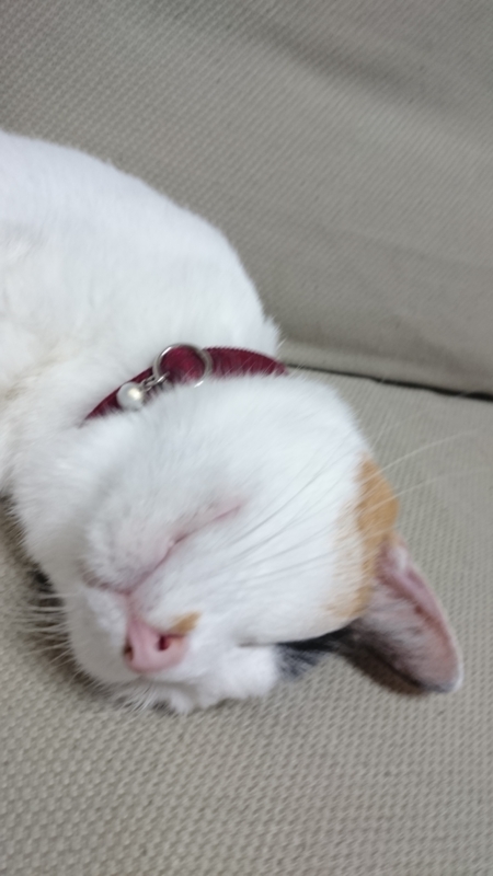 f:id:gosaku13:20160111110417j:image