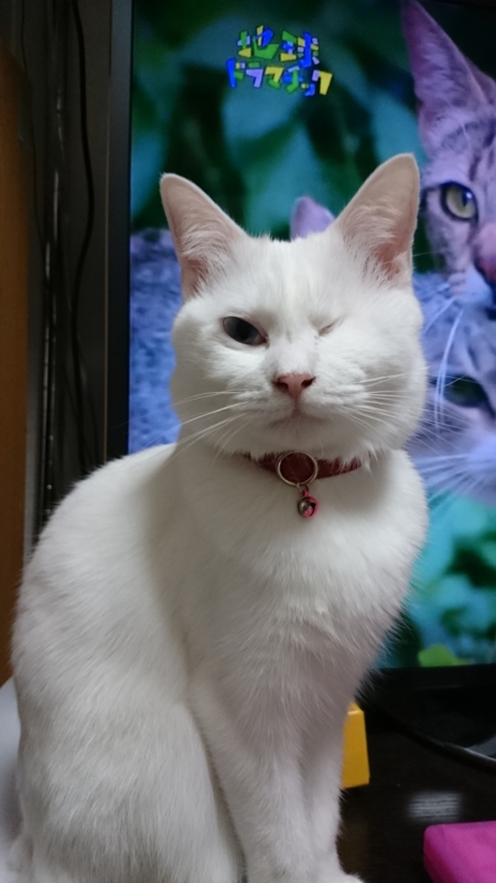 f:id:gosaku13:20160112223415j:image