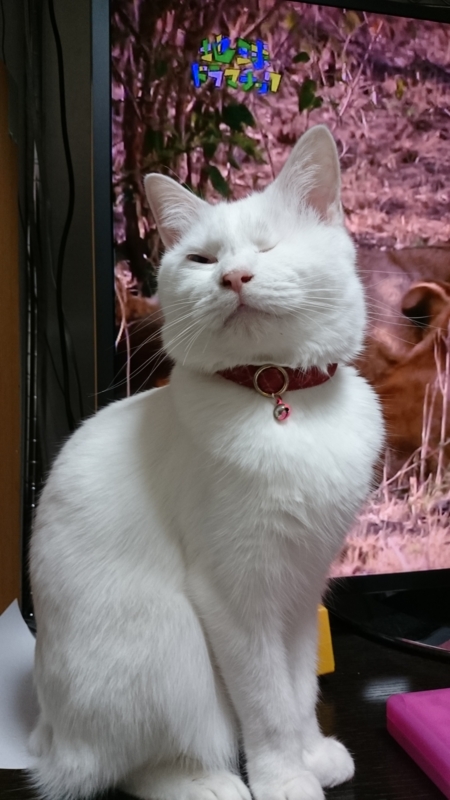 f:id:gosaku13:20160112223429j:image