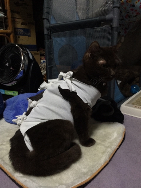 f:id:gosaku13:20160114121130j:image