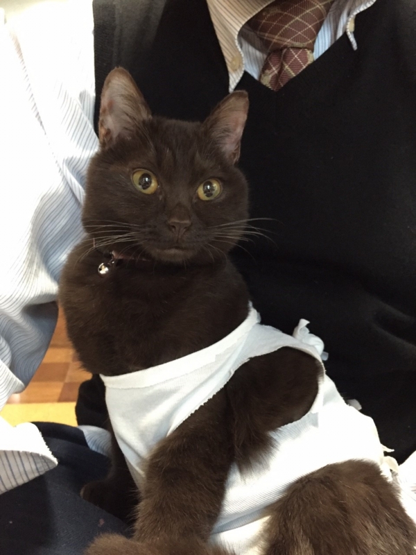 f:id:gosaku13:20160114121132j:image