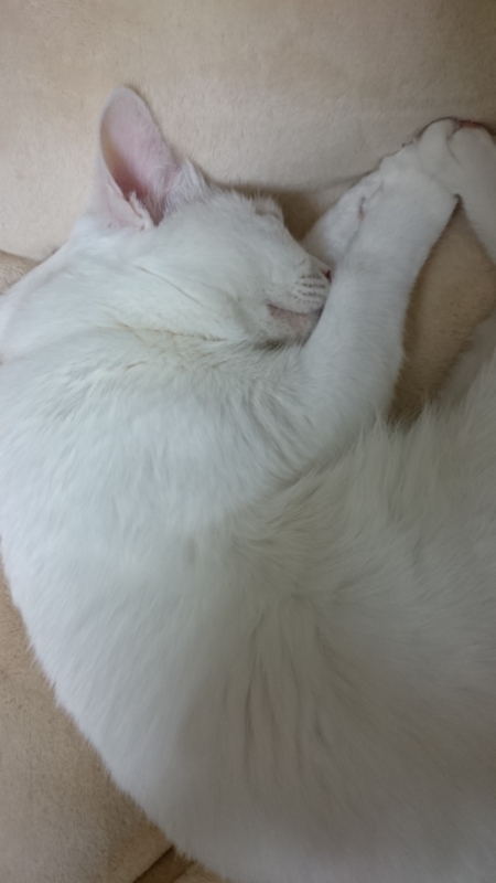 f:id:gosaku13:20160121070350j:image