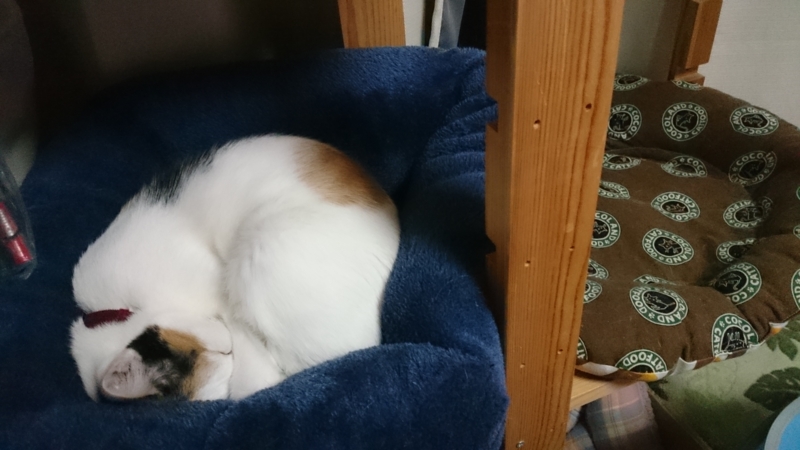 f:id:gosaku13:20160122133353j:image