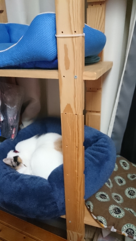 f:id:gosaku13:20160122133407j:image