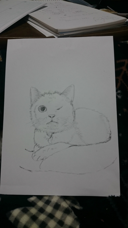 f:id:gosaku13:20160125215309j:image