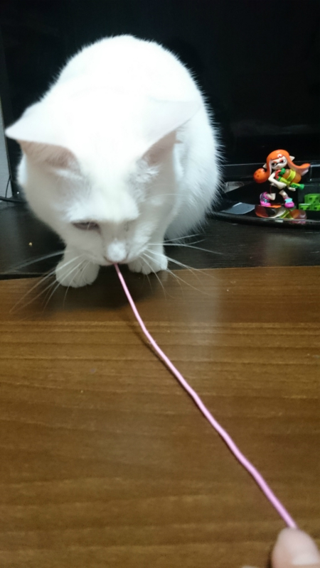 f:id:gosaku13:20160129082401j:image