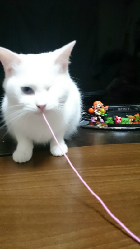 f:id:gosaku13:20160129082403j:image