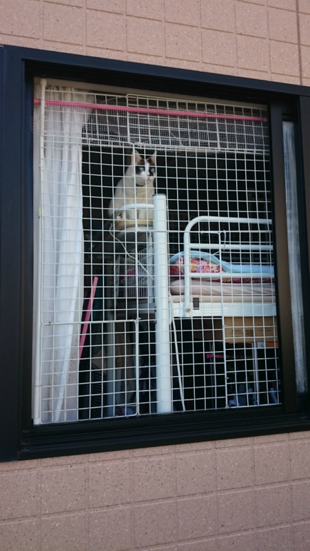 f:id:gosaku13:20160317113524j:image