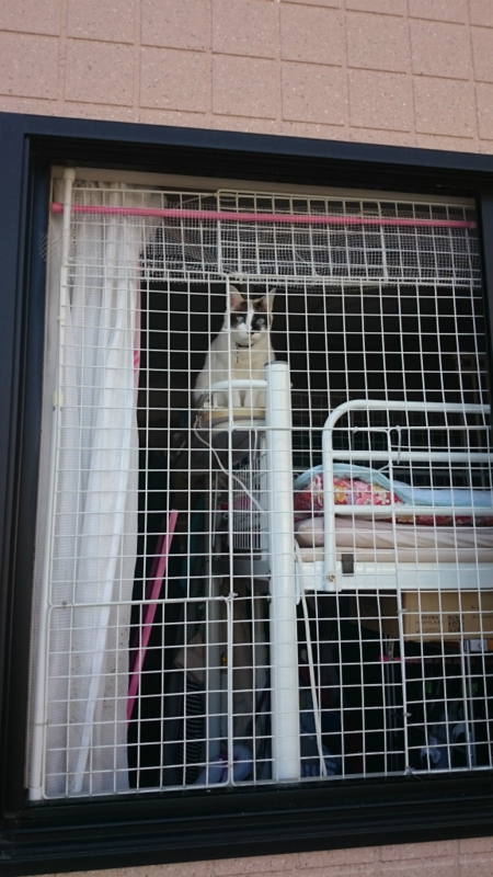 f:id:gosaku13:20160317113525j:image