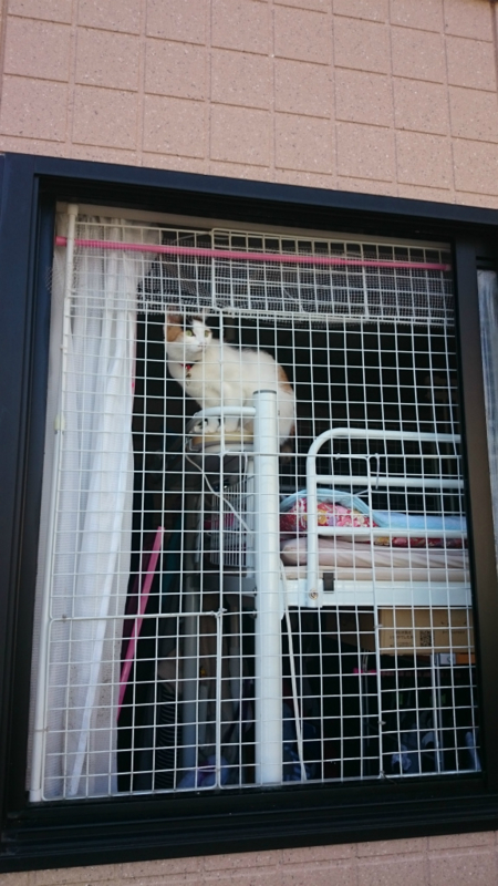 f:id:gosaku13:20160317113812j:image