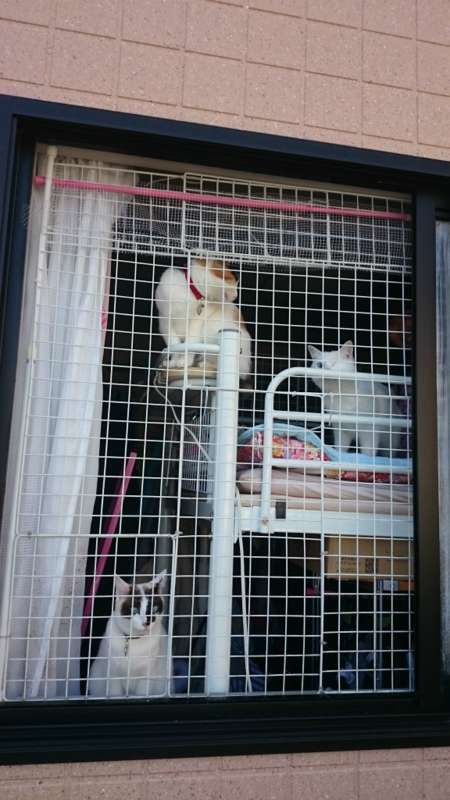 f:id:gosaku13:20160317113905j:image