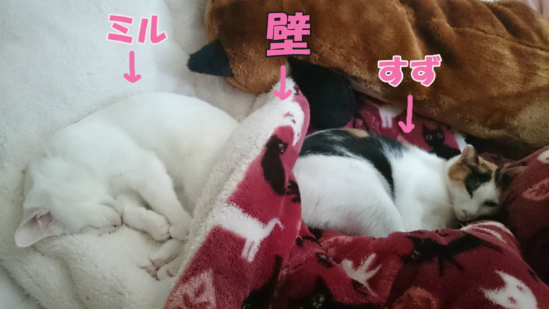 f:id:gosaku13:20160325141112j:image