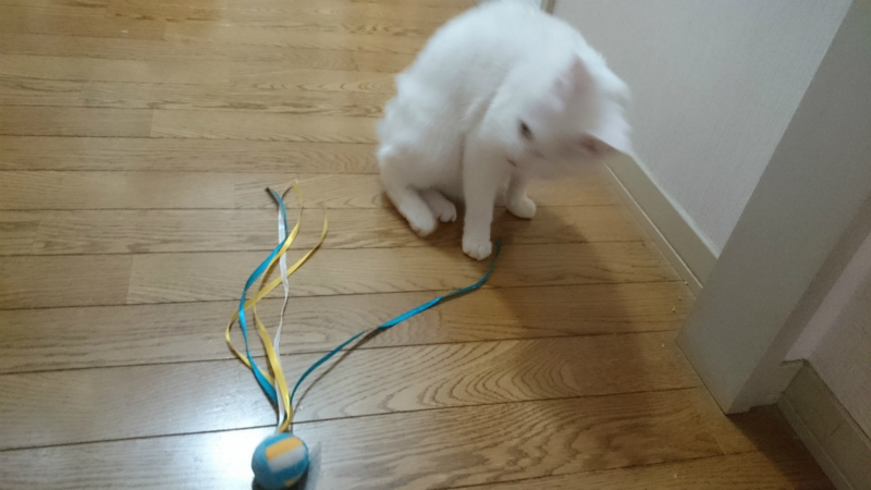 f:id:gosaku13:20160326201152j:image