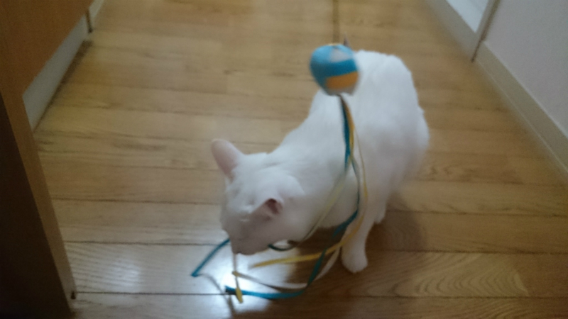 f:id:gosaku13:20160326201153j:image