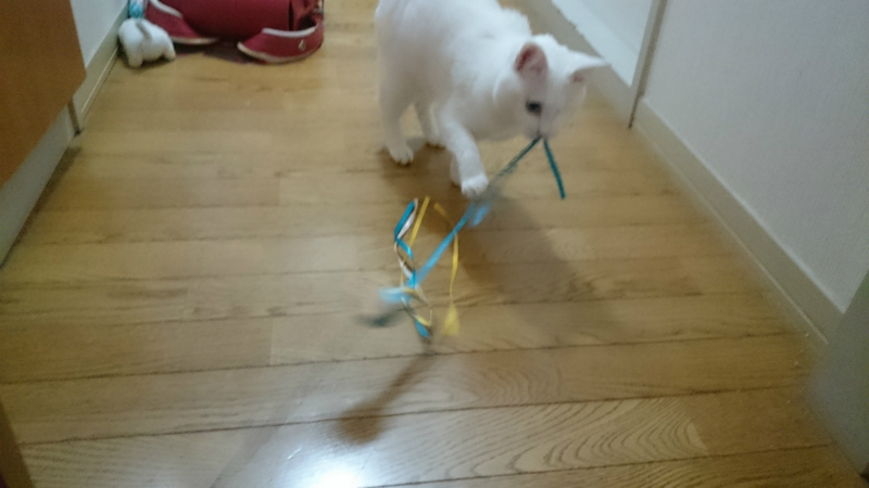 f:id:gosaku13:20160326201154j:image