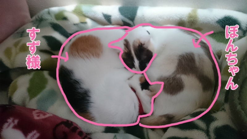 f:id:gosaku13:20160331104518j:image