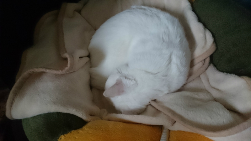 f:id:gosaku13:20160331104959j:image