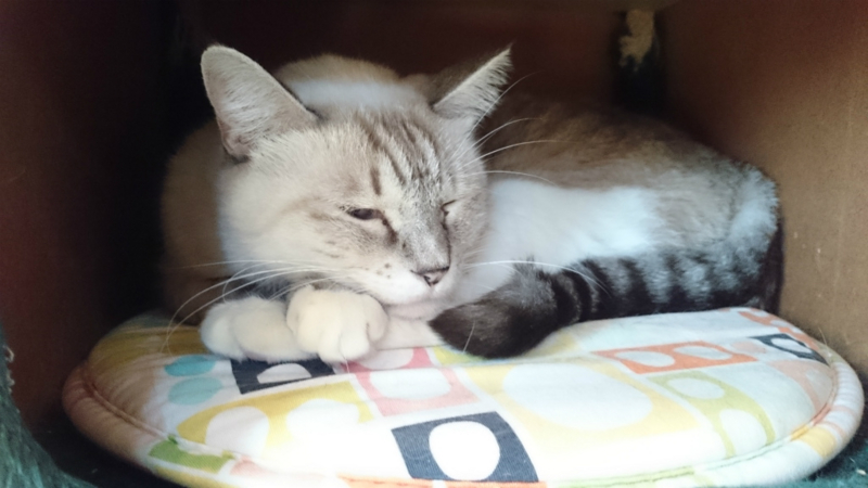 f:id:gosaku13:20161105181304j:image