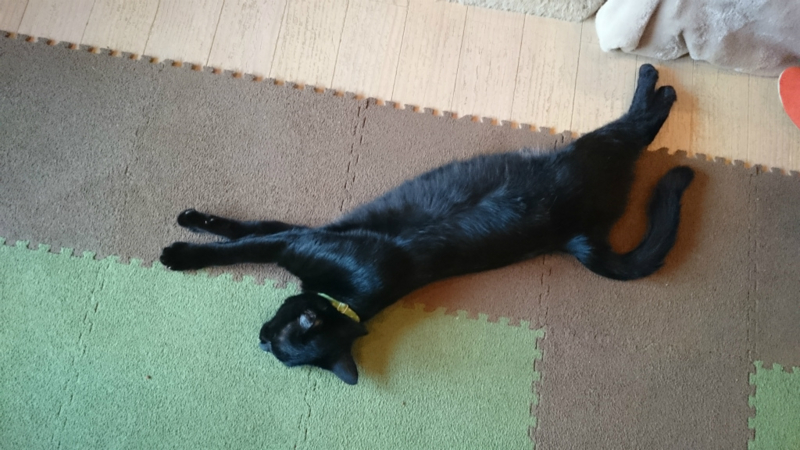 f:id:gosaku13:20161105181419j:image