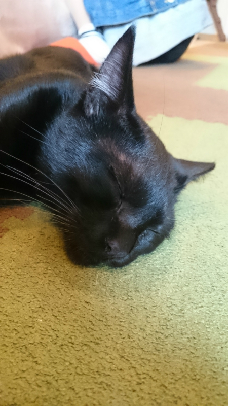 f:id:gosaku13:20161105181445j:image