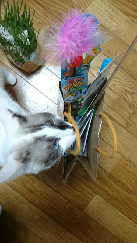 f:id:gosaku13:20161105183038j:image