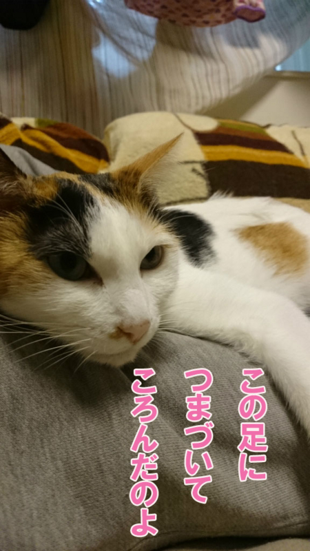 f:id:gosaku13:20161107202133j:image