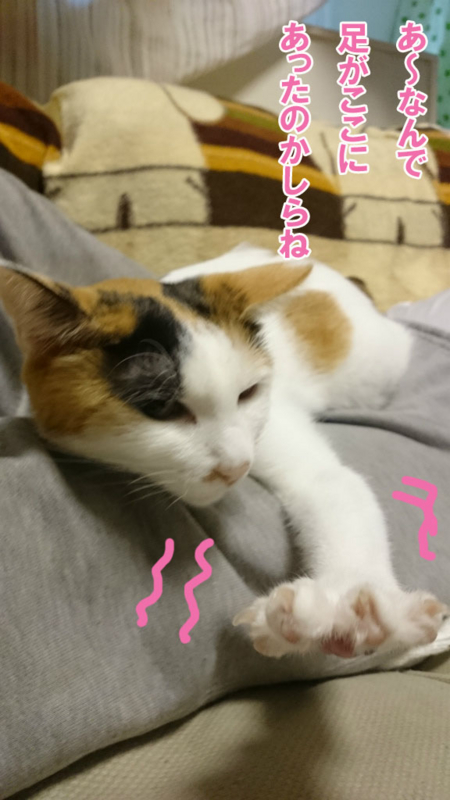 f:id:gosaku13:20161107202206j:image