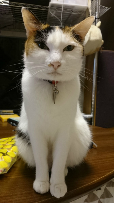 f:id:gosaku13:20161108125424j:image