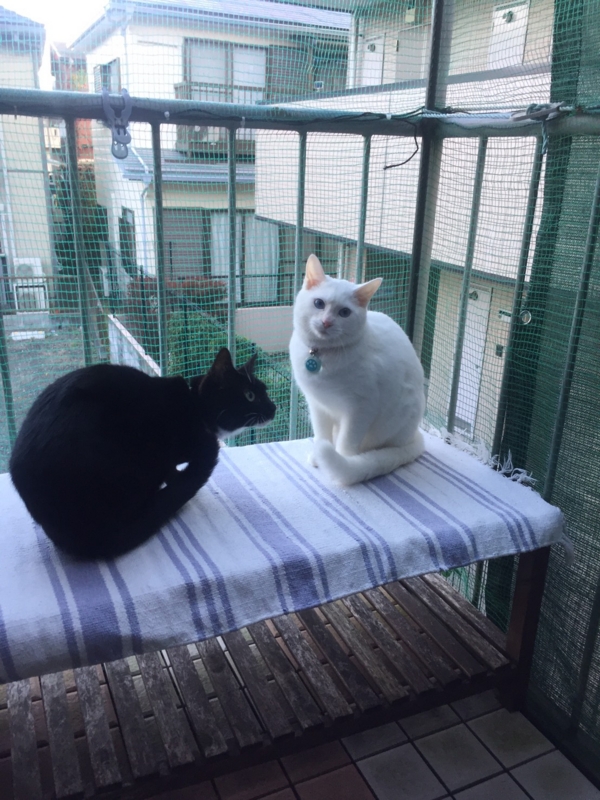 f:id:gosaku13:20161118113209j:image