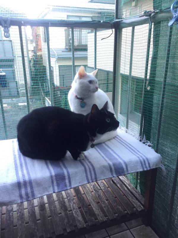 f:id:gosaku13:20161118113213j:image