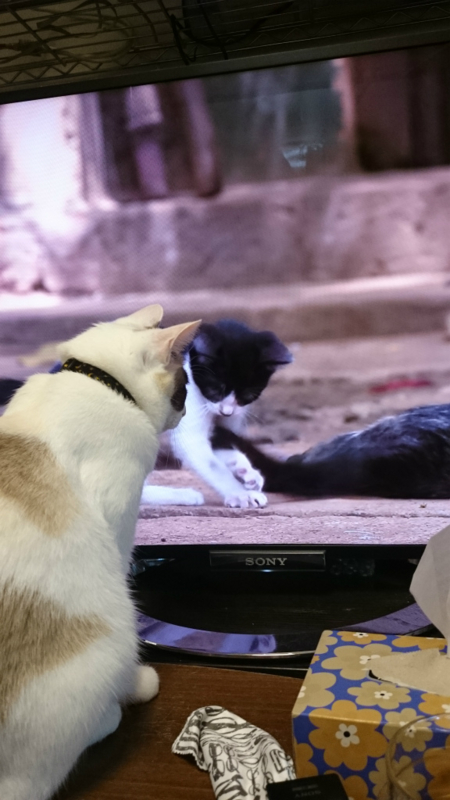 f:id:gosaku13:20161120181405j:image