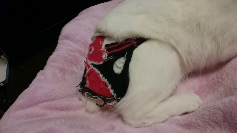 f:id:gosaku13:20161122124159j:image