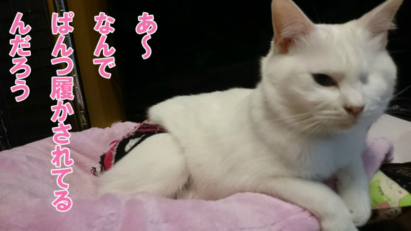 f:id:gosaku13:20161122124250j:image