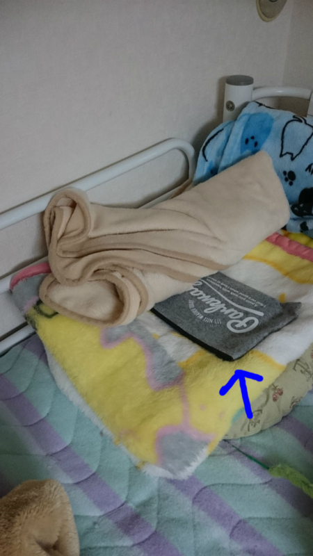 f:id:gosaku13:20161124171356j:image